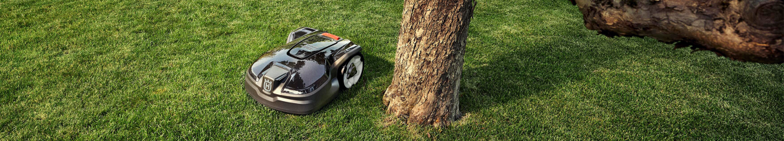 Mähroboter